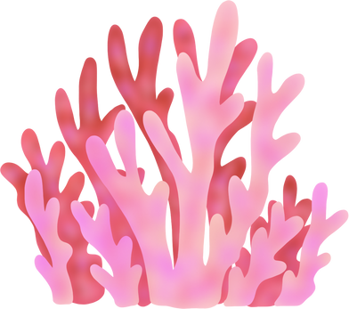 Coral Reef